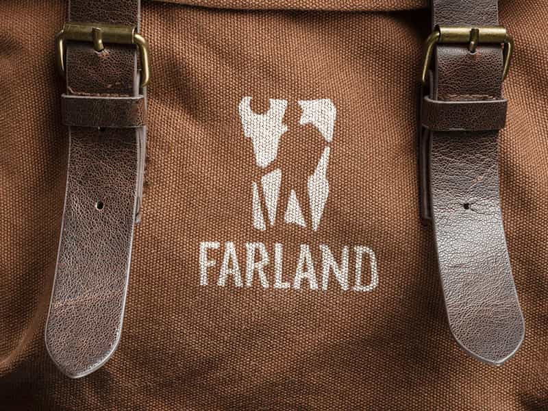Logo design for the travel agency Farland - feature image